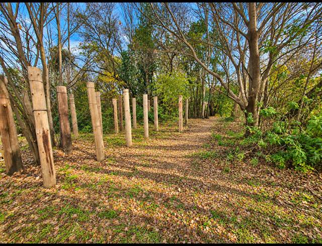 1,672M² VACANT LAND FOR SALE IN ROTHDENE